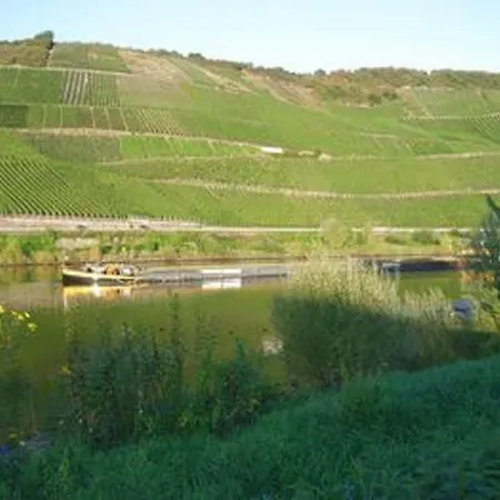 Weinhaus Weis Hotel Leiwen