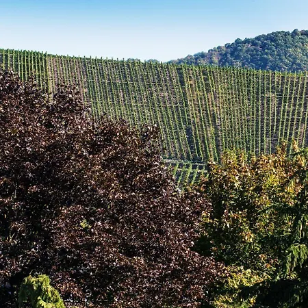 Weinhaus Weis Hotel 3*