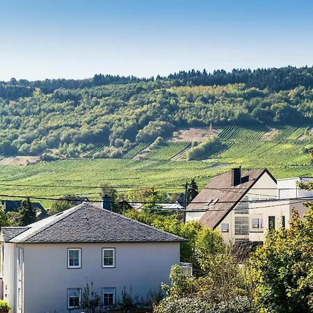 Hotel Weinhaus Weis Leiwen