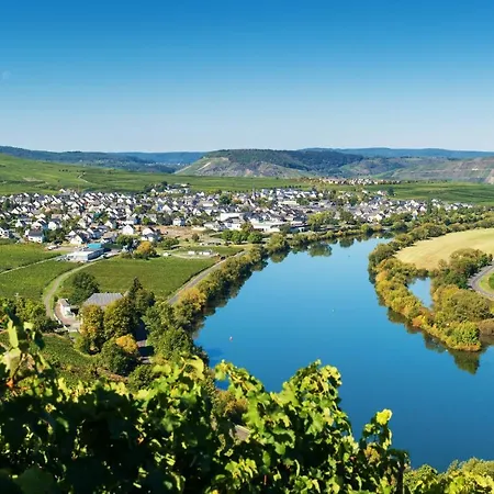Weinhaus Weis