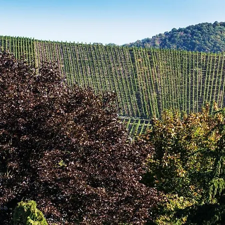 Weinhaus Weis 3*
