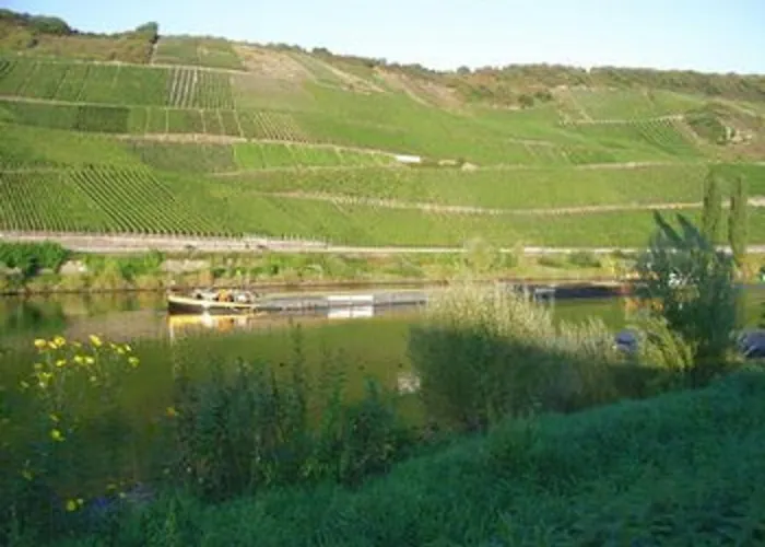 Weinhaus Weis Hotel Leiwen